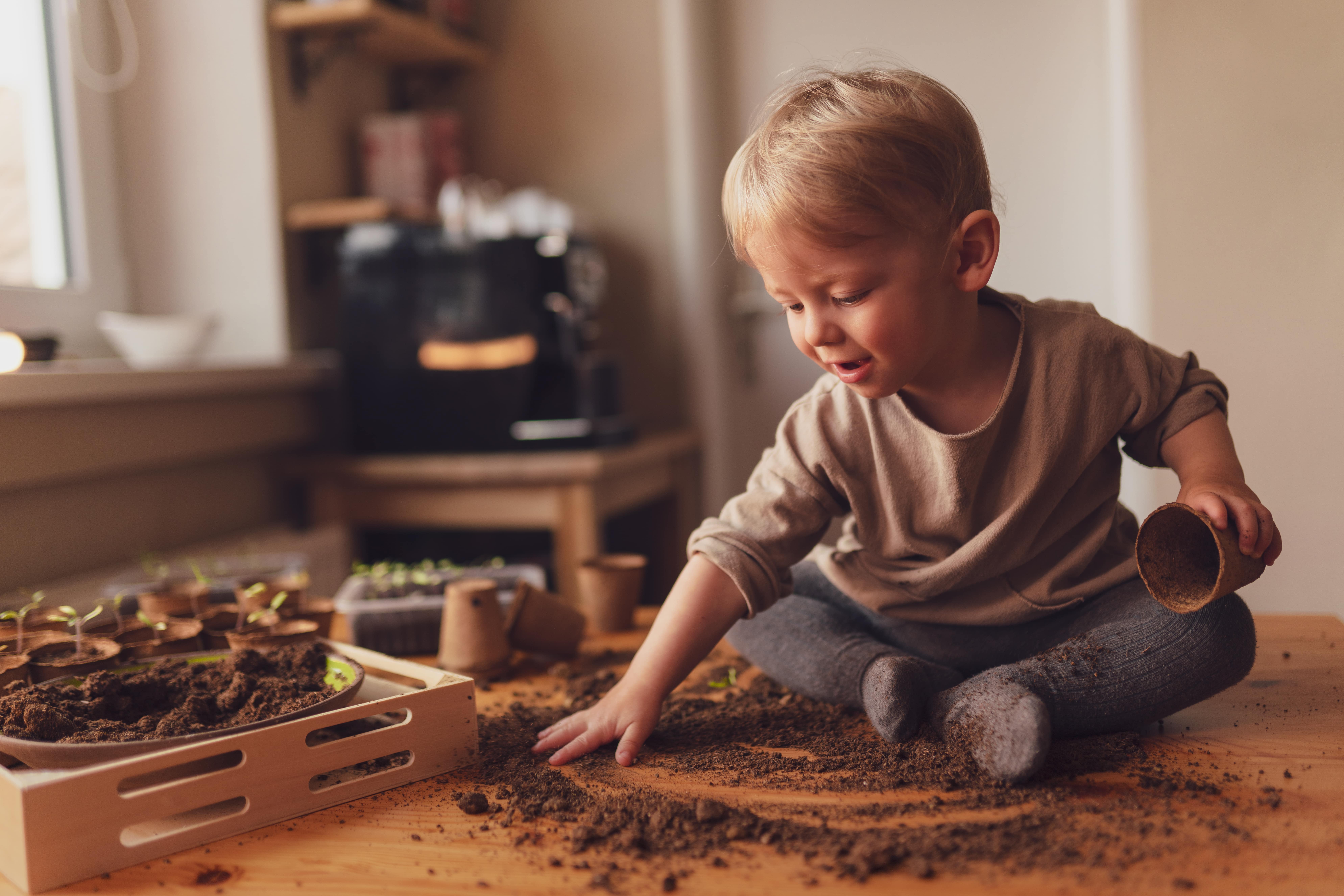 A young boy sitting on a table playing with dirt beside a box of plants, learning through curiosity and exploration.